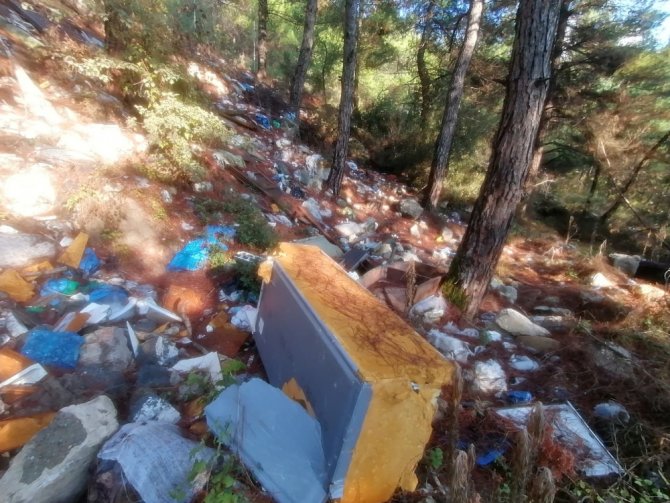 Tam Bir Çevre Katliamı: Ormanı Çöplüğe Çevirmişler