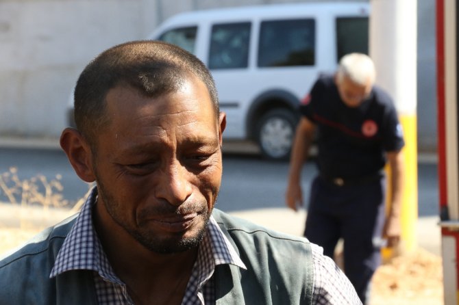 Telef Olan Bıldırcınları İçin Gözyaşı Döken Adam Yeni Bıldırcınlarına Kavuştu