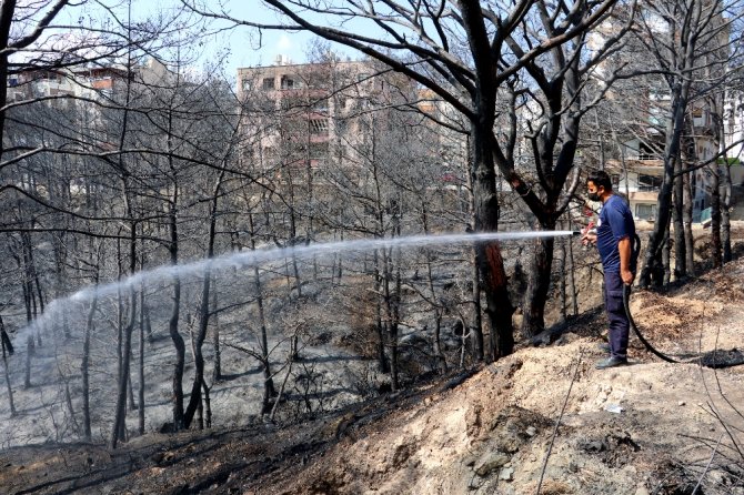 Hatay’da Yanan Ağaçlar Soğutuluyor