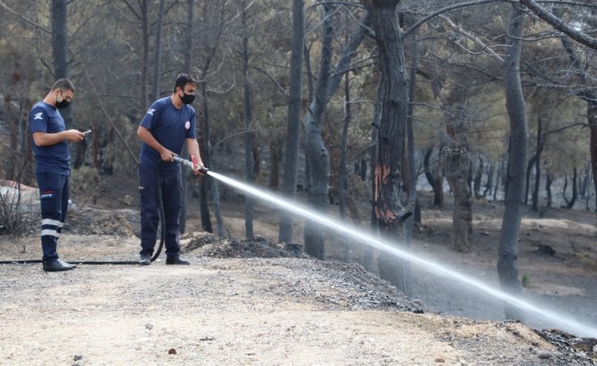 Hatay’da Yanan Ağaçlar Soğutuluyor
