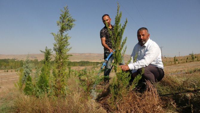 Ay Yıldızlı Ormanda Her Fidana Bir Şehidin İsmi Verildi