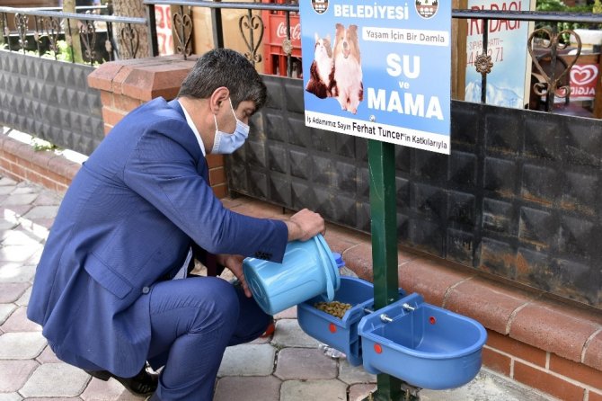 Bu İlçede Sokak Hayvanları Aç Kalmayacak