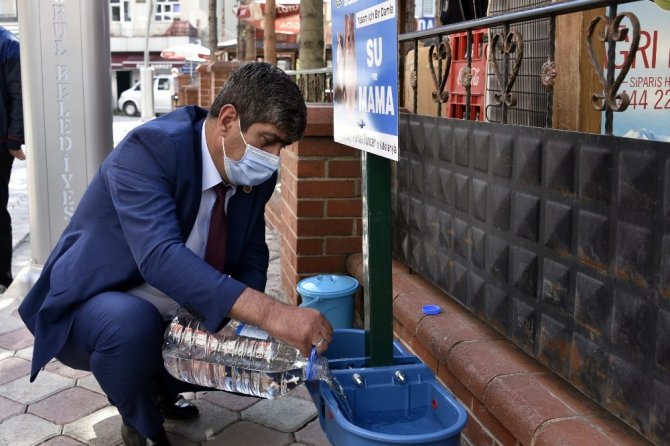 Bu İlçede Sokak Hayvanları Aç Kalmayacak