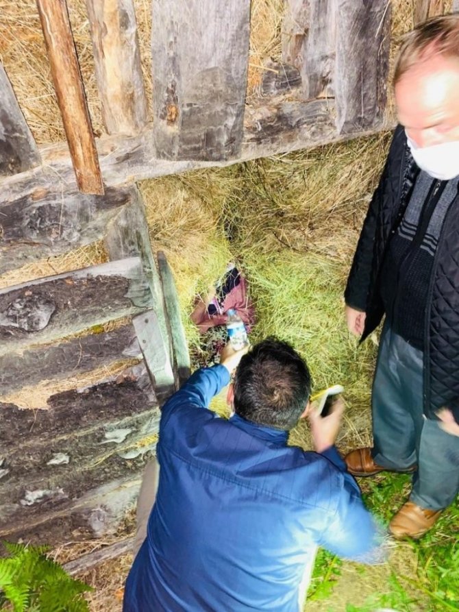 Giresun’da Kaybolan Kadın Jandarma Tarafından Bulundu