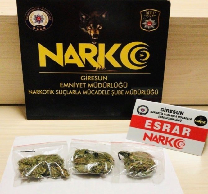 Giresun’da Uyuşturucu Operasyonunda 1 Kişi Tutuklandı