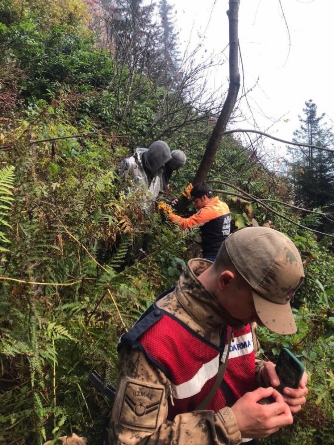 Yaban Mersini Toplamaya Gitmişlerdi Bu Sabah Bulundular