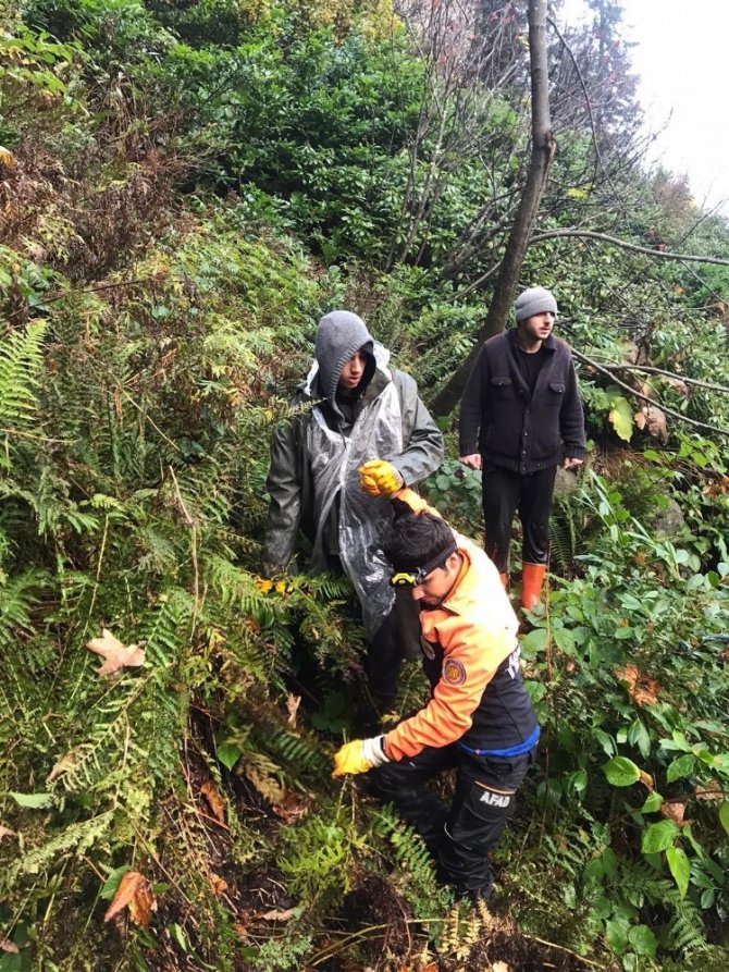 Yaban Mersini Toplamaya Gitmişlerdi Bu Sabah Bulundular