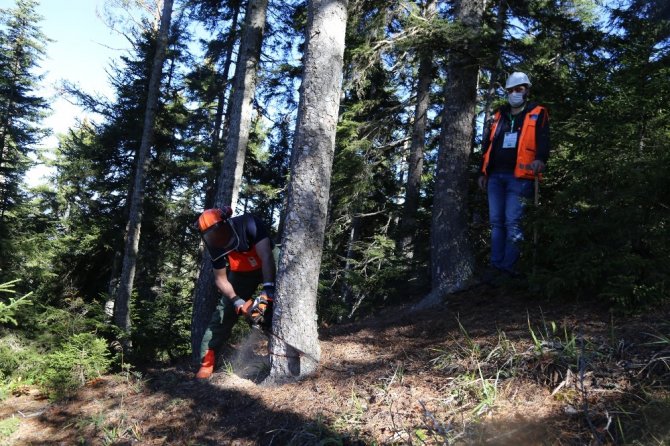Orman İşçilerinin Sınavı Ormanda Olur