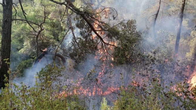 Manavgat’taki Orman Yangını Kontrol Altına Alındı