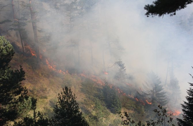 3 Gündür Devam Eden Orman Yangını Yayla Evlerine Kadar Ulaştı