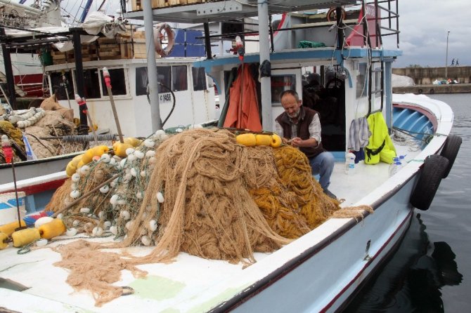 Kıyı Balıkçıları, Balık Çeşitlerinin Yok Olmasından Şikayetçi