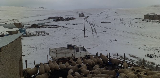 Karagöl Dağı’na Mevsimin İlk Karı Yağdı