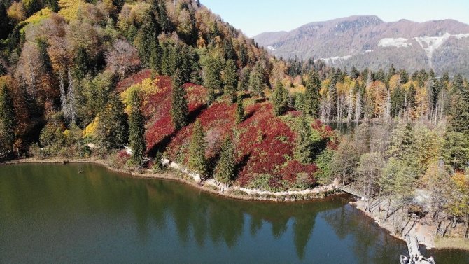 Borçka Karagöl’ün Büyüleyen Sonbahar Güzelliği
