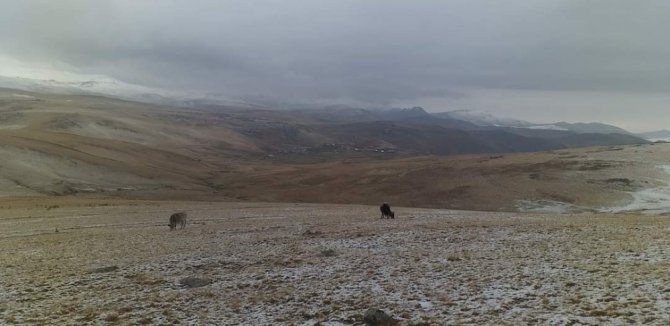Karagöl Dağı’na Mevsimin İlk Karı Yağdı