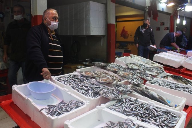 Giresun’da Yerli Hamsi Tezgahlarda Yerini 20 Tl’den Aldı