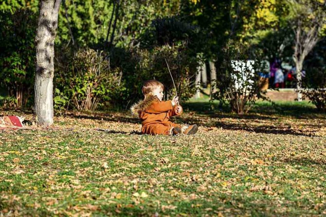 Başkent’te Sonbahar Renklerinin Dansı