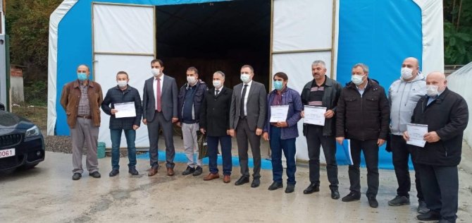 İstiridye Mantarı Yöre Halkının Yeni Gelir Kapısı Oldu