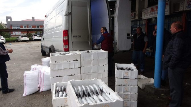 Büyük Tekneler Hamsi İçin Hopa Açıklarına Gidince Palamut Kıyı Balıkçılarına Kaldı