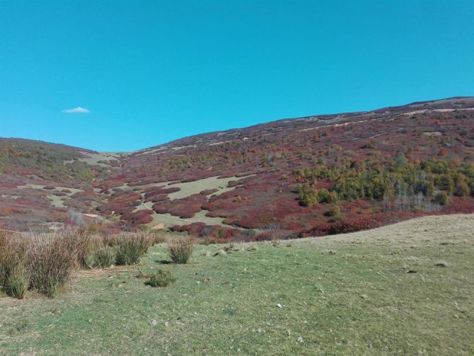 Ordu’nun Yaylalarından Kartpostallık Görüntüler