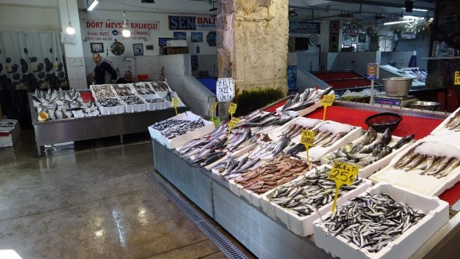 Balık Fiyatlarının Ateşi Düşmedi