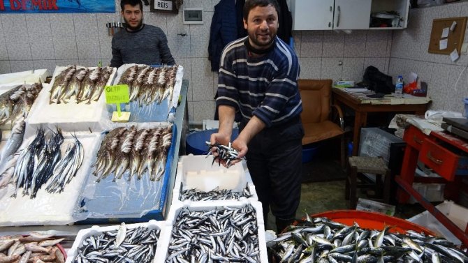 Balık Fiyatlarının Ateşi Düşmedi