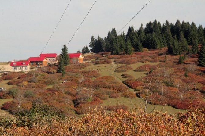 Kundaklanan Tesis İnşa Edilerek Hizmete Açıldı