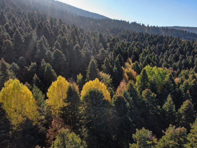 Bolu’da Masalsı Sonbahar Manzaraları