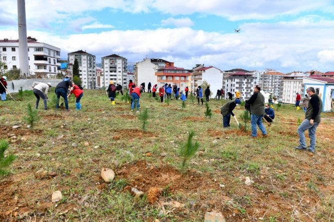 Trabzon’da 40 Bin Fidanla Toprakla Buluştu