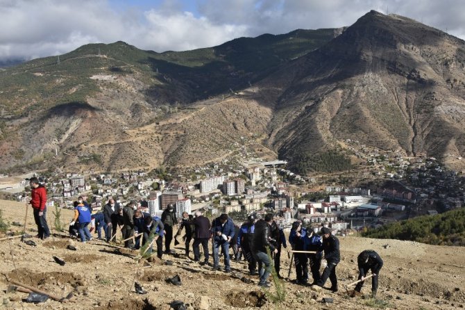 Gümüşhane’de 22 Bin Fidan Toprakla Buluştu