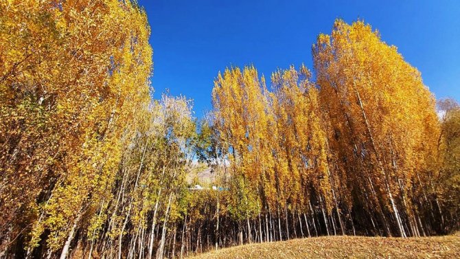 Bitlis’te Sonbahar Güzelliği Göz Kamaştırdı