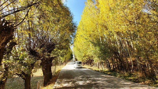 Bitlis’te Sonbahar Güzelliği Göz Kamaştırdı
