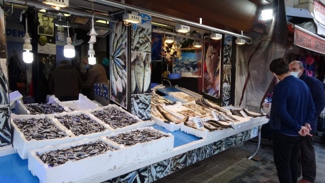 Hamsi Gel Gitleri Yaşıyor