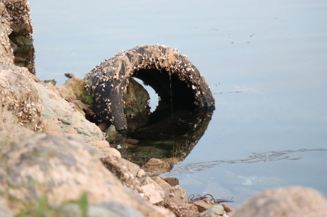 Çanlar Sapanca Gölü İçin Çalıyor, Su Seviyesi Kritik Noktada