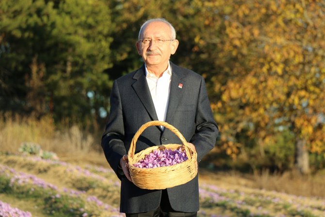 Chp Genel Başkanı Kılıçdaroğlu Safran Tarlasında Hasat Yaptı