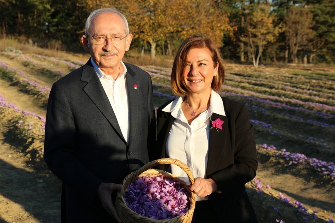 Chp Genel Başkanı Kılıçdaroğlu Safran Tarlasında Hasat Yaptı