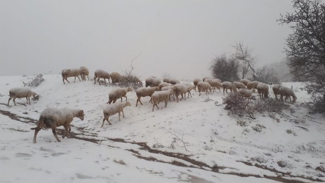 Manisa’da Mevsimin İlk Karı Yağdı