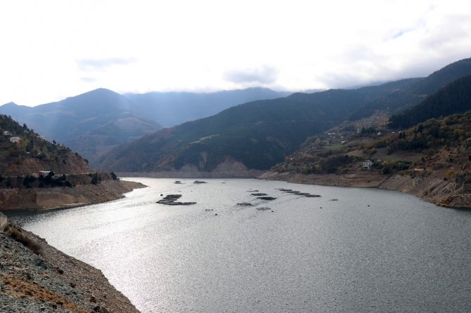 Denizi Olmayan Gümüşhane’den Somon İhraç Ediliyor