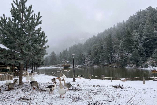 Gümüşhane’nin Beyaz Cenneti: Limni Gölü