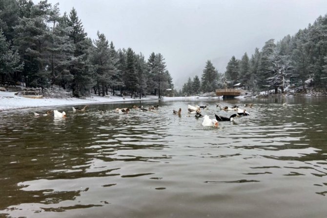 Gümüşhane’nin Beyaz Cenneti: Limni Gölü