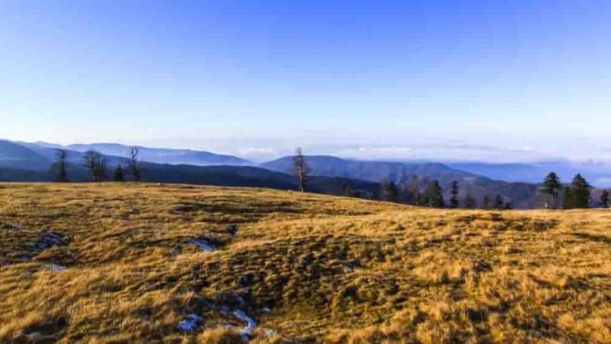 Bulutlara Komşu ‘Kardüz Yaylası’ Görsel Şölen Sunuyor