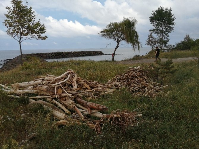 Kışlık Odunlarını Denizden Temin Ettiler