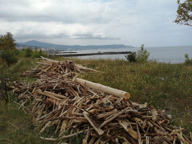 Kışlık Odunlarını Denizden Temin Ettiler