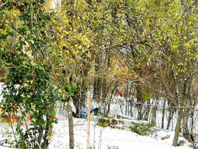Kar, Posof’ta Doğaya Renk Kattı
