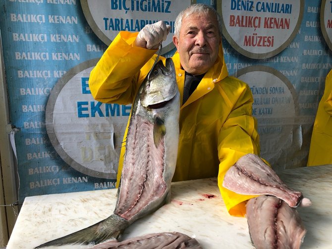 Denizlerde Kofana Balığı Bereketi: Fiyatı 200 Liradan 80 Liraya Düştü