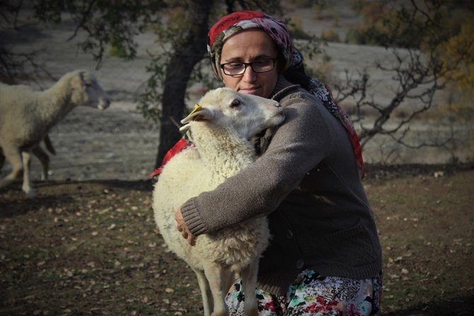 Dağlarda Kadın Başına 150 Koyununa Çobanlık Yapıyor