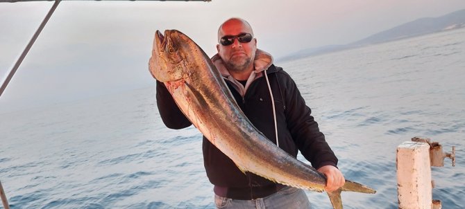 Kuşadası Körfezi’nde 15 Kiloluk Lambuka Balığı Yakalandı