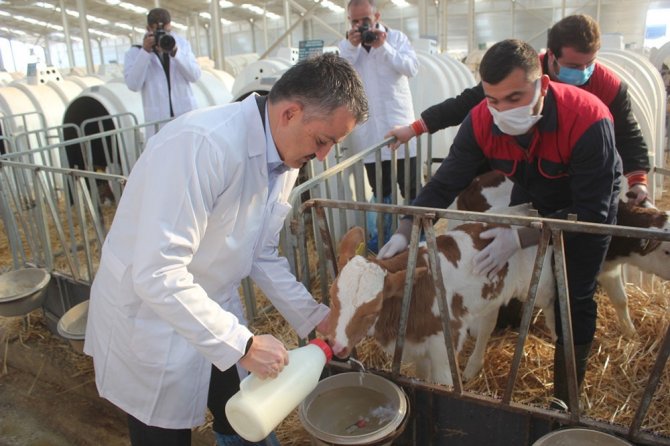 Bakan Pakdemirli, Mısır Hasadı Ve Buğday Ekimi Yaptı