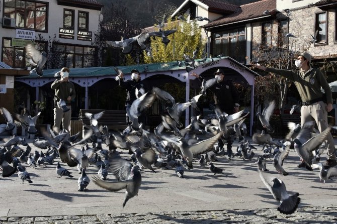 Aç Kalan Güvercinlerin İmdadına Polisler Yetişti