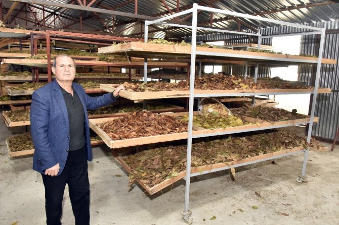 Bir Çeşitle Başlamıştı Şimdi 21 Çeşit Çay Yapıyor