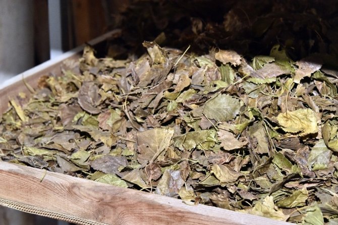 Bir Çeşitle Başlamıştı Şimdi 21 Çeşit Çay Yapıyor